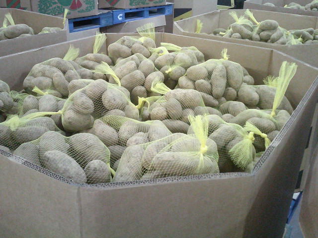 Cardboard containers filled with mesh bags of potatoes.